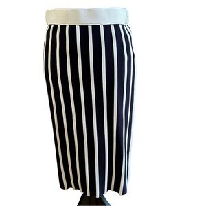 Ann Taylor Petite Midnight Blue Striped Skirt. Size M/P